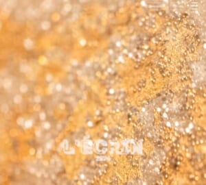 銀座で開業50年の歴史と格式を誇る記憶に残るフランス料理の名店「銀座レカン」